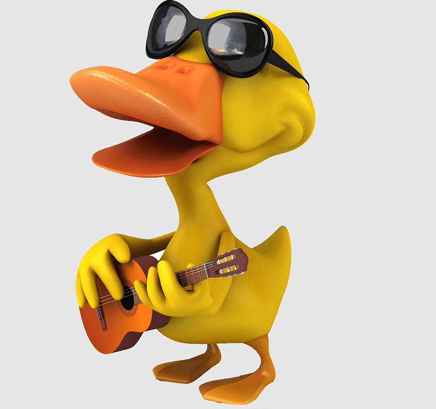 CME Duck Image 9