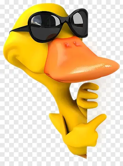 CME Duck Image 17