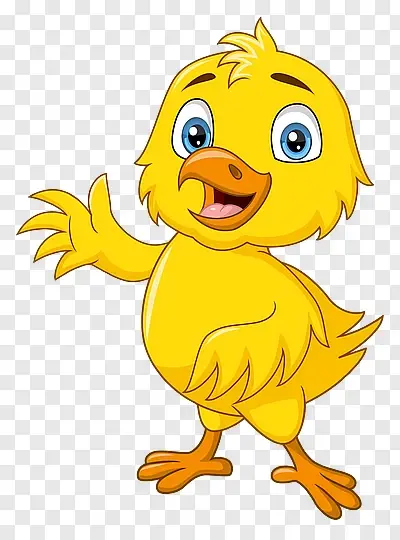 CME Duck Image 19